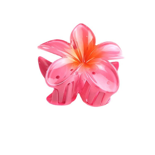 BARRETTE DOUCEUR D'ÉTÉ