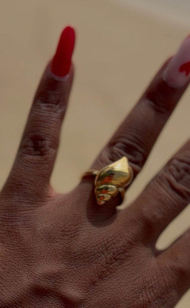 BAGUE VOA