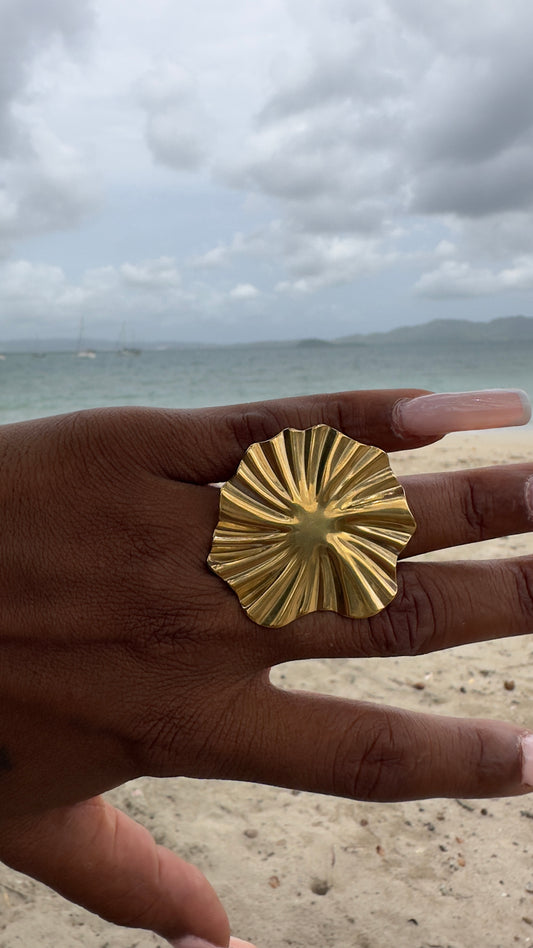 BAGUE NANA
