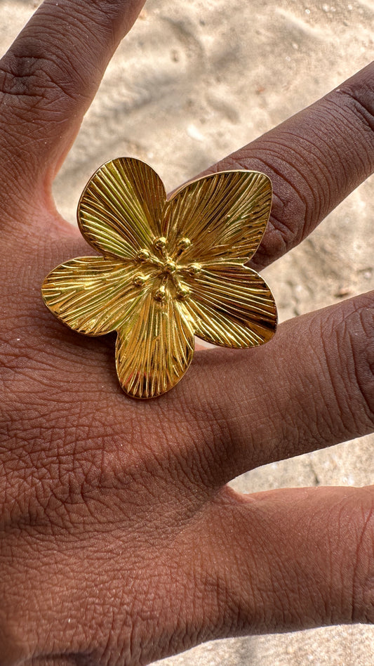 BAGUE HIBY