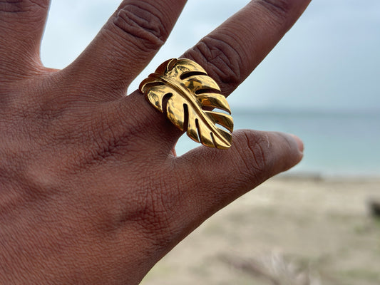 BAGUE VAINOU