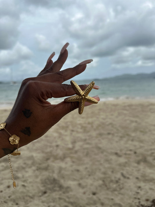 BAGUE MERRA
